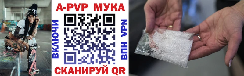 Альфа ПВП СК  закладка  Инта 