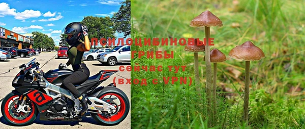 PSILOCYBIN Волоколамск
