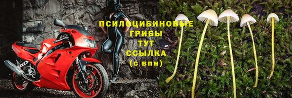 МДПВ Волосово