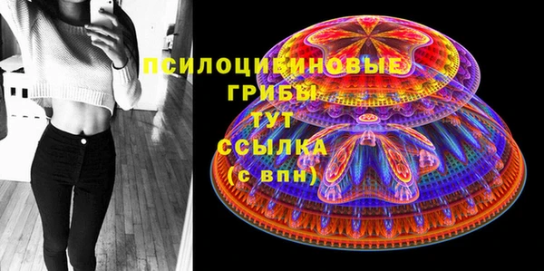 PSILOCYBIN Волоколамск