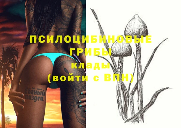 PSILOCYBIN Волоколамск