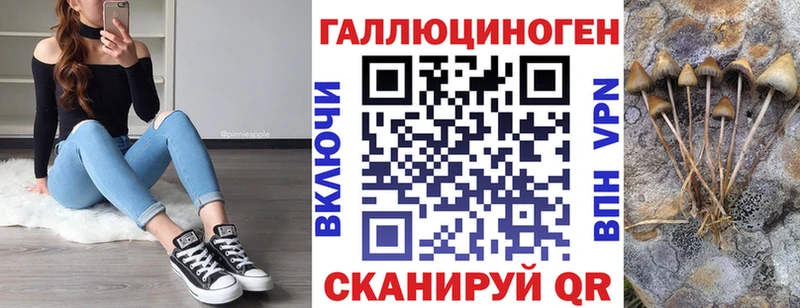 ОМГ ОМГ вход  Инта  shop формула  Псилоцибиновые грибы GOLDEN TEACHER 
